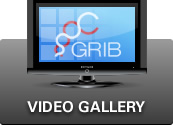 Video gallery